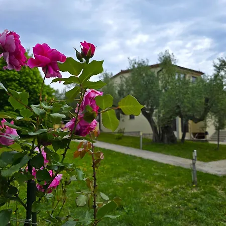 Keser 4* Rovinj