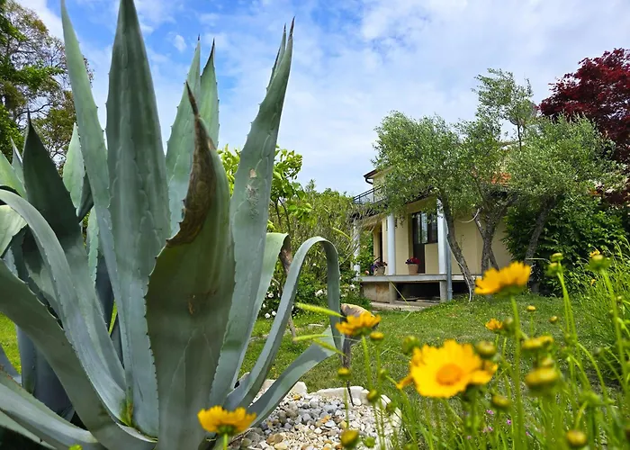 Keser Guest house